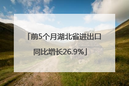前5个月湖北省进出口同比增长26.9%
