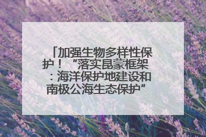 加强生物多样性保护！“落实昆蒙框架：海洋保护地建设和南极公海生态保护”主题论坛将举办