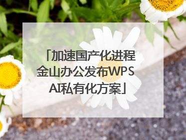 加速国产化进程 金山办公发布WPS AI私有化方案