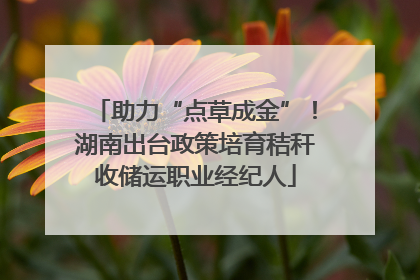 助力“点草成金”！湖南出台政策培育秸秆收储运职业经纪人