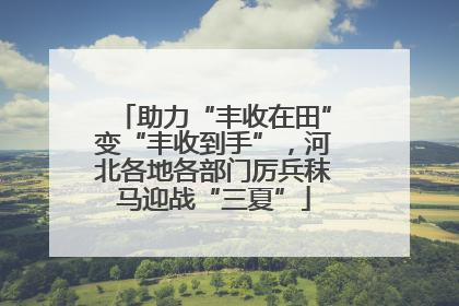 助力“丰收在田”变“丰收到手”，河北各地各部门厉兵秣马迎战“三夏”