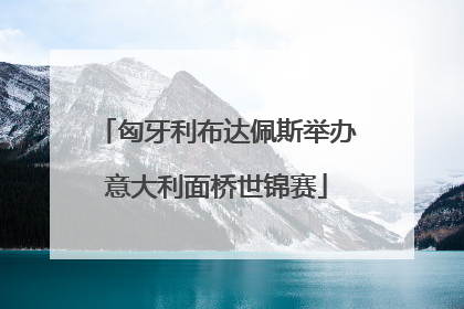 匈牙利布达佩斯举办意大利面桥世锦赛
