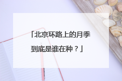 北京环路上的月季到底是谁在种？