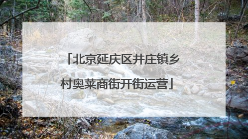 北京延庆区井庄镇乡村奥莱商街开街运营