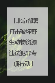 北京部署打击破坏野生动物资源违法犯罪专项行动
