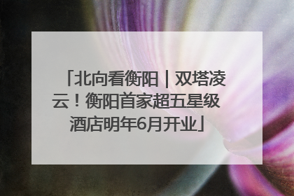 北向看衡阳｜双塔凌云！衡阳首家超五星级酒店明年6月开业