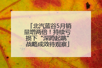 北汽蓝谷5月销量增两倍！持续亏损下“深蹲起跳”战略成效待观察