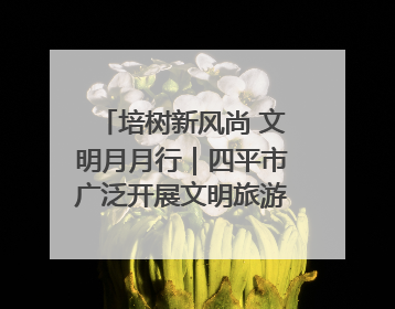 培树新风尚 文明月月行｜四平市广泛开展文明旅游主题实践活动