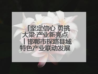坚定信心 勇挑大梁·产业新亮点丨邯郸市探路县域特色产业联动发展：飞地，为好项目跨域安个家