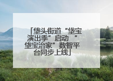 垡头街道“垡宝演出季”启动 “垡宝治家”数智平台同步上线