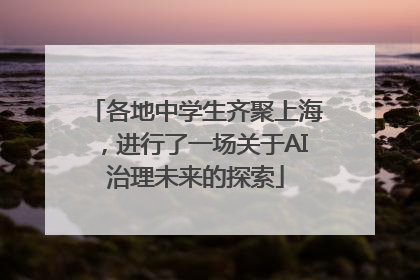 各地中学生齐聚上海，进行了一场关于AI治理未来的探索
