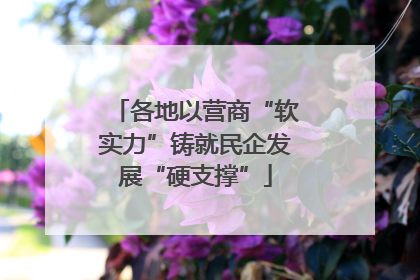 各地以营商“软实力”铸就民企发展“硬支撑”