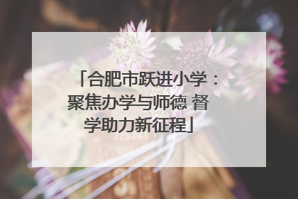 合肥市跃进小学：聚焦办学与师德 督学助力新征程