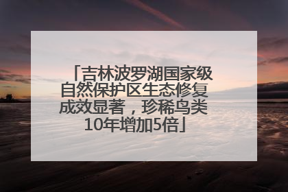 吉林波罗湖国家级自然保护区生态修复成效显著，珍稀鸟类10年增加5倍