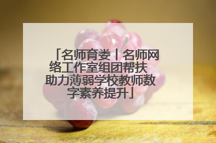 名师育娄丨名师网络工作室组团帮扶 助力薄弱学校教师数字素养提升
