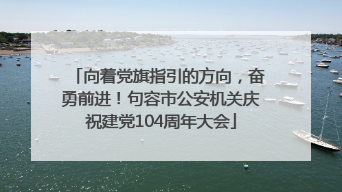 向着党旗指引的方向，奋勇前进！句容市公安机关庆祝建党104周年大会