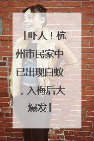 吓人！杭州市民家中已出现白蚁，入梅后大爆发