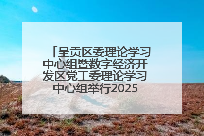 呈贡区委理论学习中心组暨数字经济开发区党工委理论学习中心组举行2025年第七次学习会议