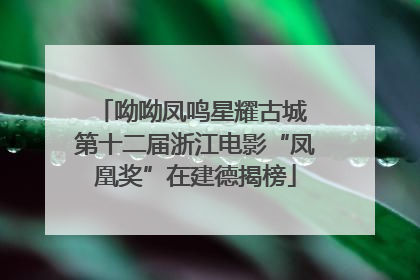 呦呦凤鸣星耀古城 第十二届浙江电影“凤凰奖”在建德揭榜