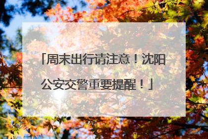 周末出行请注意！沈阳公安交警重要提醒！