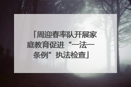 周迎春率队开展家庭教育促进“一法一条例”执法检查