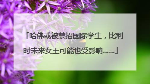 哈佛或被禁招国际学生，比利时未来女王可能也受影响……