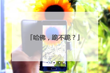 哈佛，跪不跪？