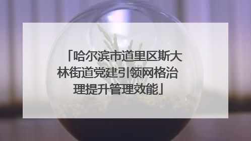 哈尔滨市道里区斯大林街道党建引领网格治理提升管理效能