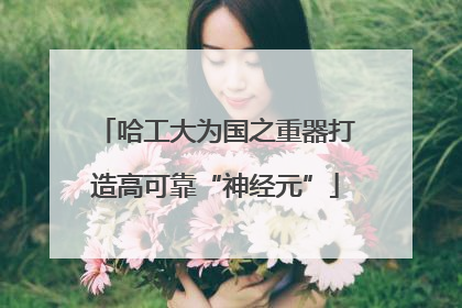 哈工大为国之重器打造高可靠“神经元”