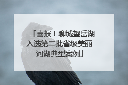 喜报！聊城望岳湖入选第二批省级美丽河湖典型案例