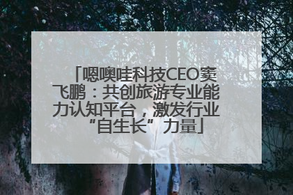 嗯噢哇科技CEO窦飞鹏：共创旅游专业能力认知平台，激发行业“自生长”力量
