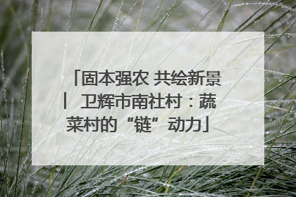 固本强农 共绘新景 ︳卫辉市南社村：蔬菜村的“链”动力