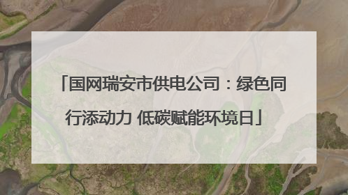 国网瑞安市供电公司：绿色同行添动力 低碳赋能环境日