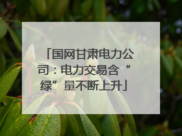 国网甘肃电力公司：电力交易含“绿”量不断上升