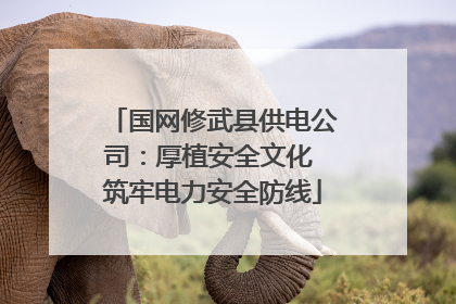 国网修武县供电公司：厚植安全文化 筑牢电力安全防线