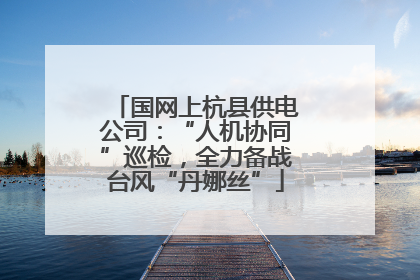 国网上杭县供电公司：“人机协同”巡检，全力备战台风“丹娜丝”