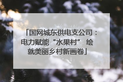 国网城东供电支公司：电力赋能“水果村” 绘就美丽乡村新画卷