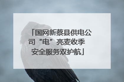 国网新蔡县供电公司“电”亮麦收季 安全服务双护航