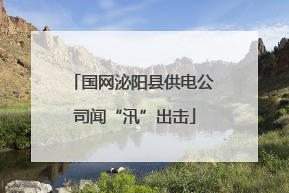 国网泌阳县供电公司闻“汛”出击