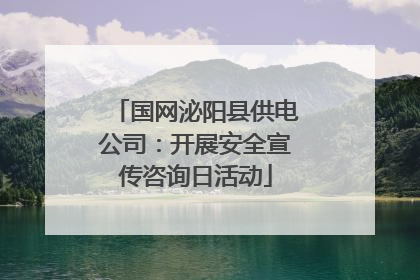 国网泌阳县供电公司：开展安全宣传咨询日活动