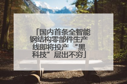 国内首条全智能钢结构零部件生产线即将投产 “黑科技”层出不穷