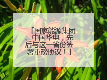 国家能源集团、中国华电，先后与这一省份签署重磅协议！