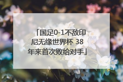 国足0-1不敌印尼无缘世界杯 38年来首次败给对手