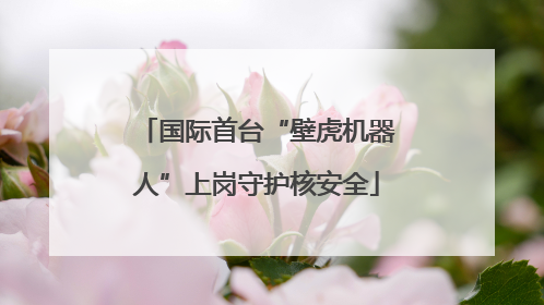 国际首台“壁虎机器人”上岗守护核安全