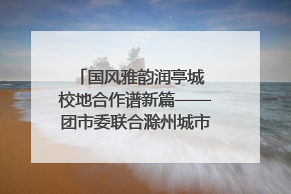 国风雅韵润亭城 校地合作谱新篇——团市委联合滁州城市职业学院助力传统文化“破圈”绽放