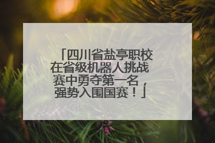 四川省盐亭职校在省级机器人挑战赛中勇夺第一名，强势入围国赛！