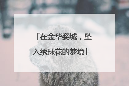 在金华婺城，坠入绣球花的梦境