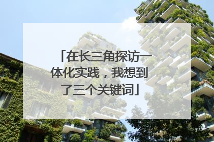 在长三角探访一体化实践，我想到了三个关键词