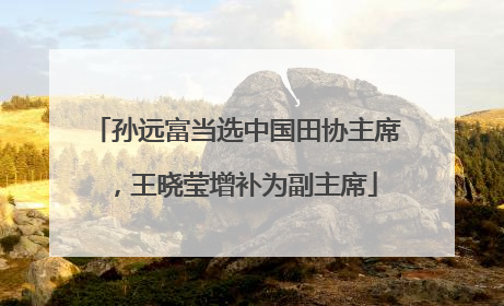 孙远富当选中国田协主席，王晓莹增补为副主席