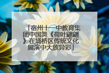 宿州十一中教育集团中国舞《荷叶翩翩》在埇桥区传统文化展演中大放异彩